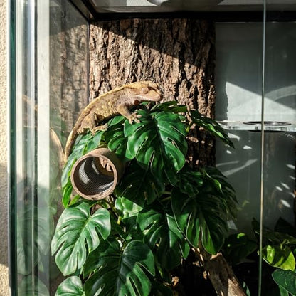 3 Pack Reptile Fake Plants for Terrarium Snake Habitat Decor Plant | Artificial Hanging Plants with Suction Cups Monstera, Terrarium Habitat Decor for Bearded Dragons Lizards Snake Geckos Frogs