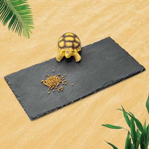 Rock Basking Platform with Bowl & Mat for Reptiles Medium | Non-slip base; rough top for claw grinding. Has food bowl & porous surface holds moisture. Fits tortoises, dragons & lizards. - size: Medium- Size
