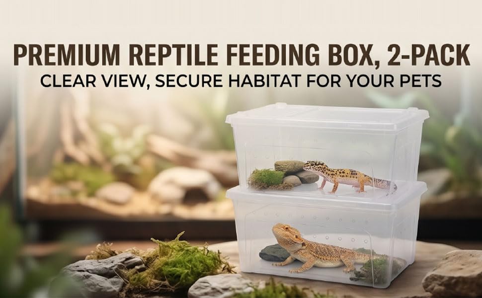 Reptile Feeding Box, Transparent Portable Plastic 2PCS Breeding Transport Box for Lizard Bearded Dragon Spider (L)