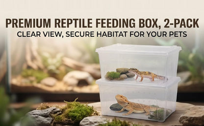 Reptile Feeding Box, Transparent Portable Plastic 2PCS Breeding Transport Box for Lizard Bearded Dragon Spider (L)