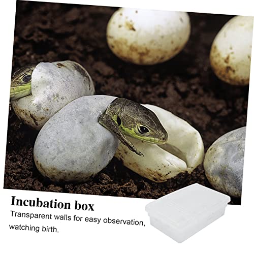 BESPORTBLE 20Grids Plastic Hatching Incubation Box for Reptiles Durable Container for Lizard Eggs Snake Incubators Gecko Egg Hatching Lightweight Design for Easy Use Storage