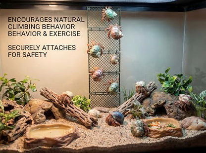 Hermit Crab Climbing Platform, Foldable Habitat Ladder | Creates customizable climbing paths that encourage natural exploration while maximizing vertical space hermit crab habitats - color: Military green