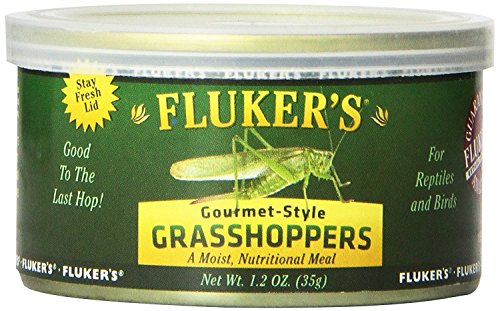 Fluker's Gourmet Canned Food for Reptiles, Fish, Birds and Small Animals, Grass Hoppers 1.2 oz - size: 1.2 Ounce (Pack of 1), style: Grass Hoppers