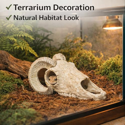 Reptile Hide Cave, Ram Skull Resin Shelter for Leopard Gecko, Lizard, Small Snake, Frog and Salamander, Terrarium Aquarium Fish Tank Decor for Small Reptiles and Amphibians
