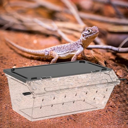 Reptile Feeding Box Enclosure Cage Flexible Landscaping Space Hatching Case Breeding Tank for Scorpions Hermit Crabs, Black