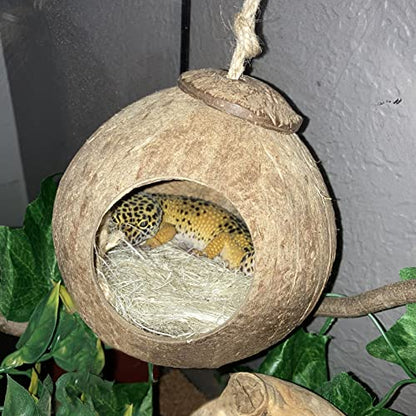 kathson Gecko Coco Hut Lizard Coconut Hide Cave Natural Coconuts Husk Reptile Hanging Nest Habitat Decor Bearded Dragon Terrarium Accessories for Crested Gecko Chameleon Snake Spider (4 PCS)