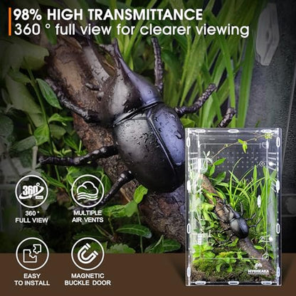Acrylic Jumping Spider Enclosure - Insect Terrarium for Spiders, Mantises, Tarantulas & Frogs - size: Large