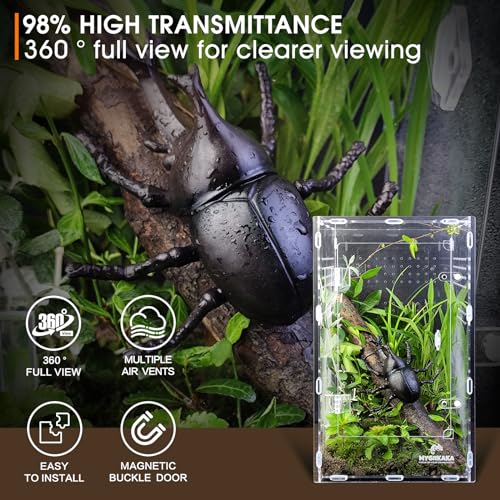 Acrylic Jumping Spider Enclosure - Insect Terrarium for Spiders, Mantises, Tarantulas & Frogs - size: Large