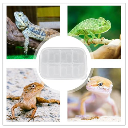Compartment Reptile Hatchery Egg Incubation Box Heat Lamp for Enclosures
