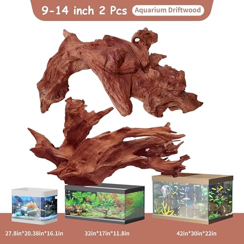 2-Piece 10-14 inch Natural Aquarium Driftwood Decorations - Aquascape Decor for Fish Tanks, Betta Hideouts, Reptile Enclosures & Plant Attachment - size: Mopani Driftwood 10-14" (Pack of 2)