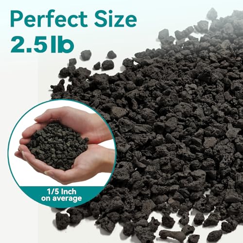 2.5lbs Small Lava Rocks for Plants Drainage, 1/5 Inch Black Gravel Mulch for House Plants, Succulent Rocks Pebbles for Planters,Cactus, Bonsai Tree, Pure Volcanic Rocks, Top-Dressing - color: Black