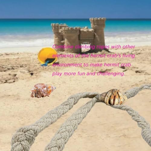 2 Pcs Hermit Crab Sturdy Twine Ladder, Hermit Crab Vine Climbing Toys, Reptile Tank Terrarium Accessories for Hermit Crab Geckos Snakes Lizards Geckos Tree Frogs