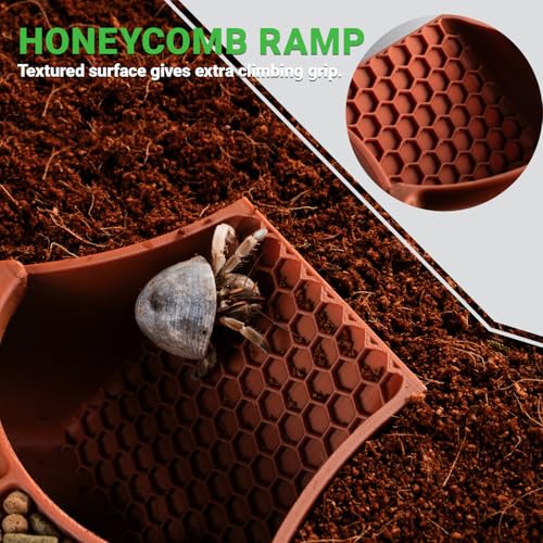 Hermit Crab Habitat Shelter with Dual Food Bowls, 2-in-1 Cave Shelter & Feeding Dish, Textured Climbing Ramp & Viewing Window, Hermit Crab Accessories for Habitat & Tank Setup (Brown) - color: Brown