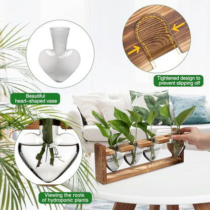 Plant Propagation Stations Heart Plant Terrarium Kit | Gift for Women Plant Lover Glass Vases - color: Gray