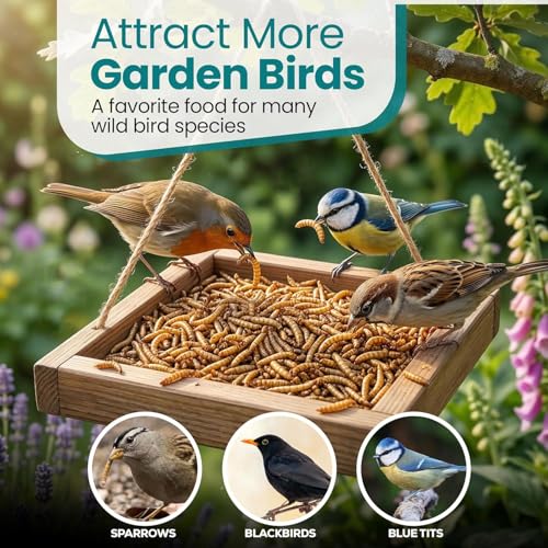 Dried Black Soldier Fly Larvae Chicken Feed 100% Natural Non-GMO, No Additives, Treat for Chickens, Reptiles and Birds, More Calcium than Mealworms for Wild Birds, Ducks, Laying Hens (2.5LBS)