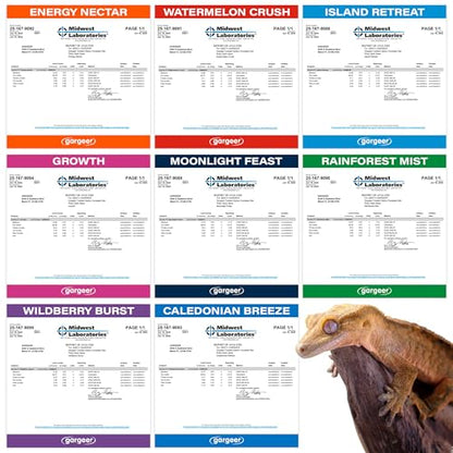 Gargeer 2.4oz Picky Geck 8 Sachet Flavours Crested Gecko Food Discovery Kit | Stop wasting food! Test 8 gourmet sachet flavors to win over picky geckos. Probiotic-infused, clean-label fruit & insect diet - size: 0.3 Ounce (Pack of 8)