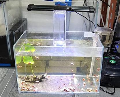 AWXZOM Small Nano Rimless Tank, Clear Glass Fish Tank, 1.1 Gallon, 7.8x5.5x5.9inch/20x14x15cm, Betta Fish Tank - size: 1.1Gallon 7.8x5.5x5.9inch/20x14x15cm