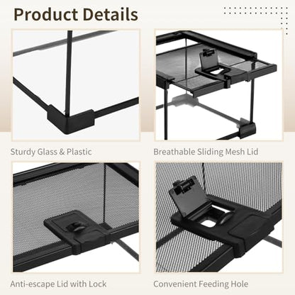 Mini Reptile Glass Terrarium 7.9 x 7.9 x 5.7, Full View Rainforest Vivarium Tank, Stackable Amphibian Enclosure Cage for Turtles, Geckos, Frogs, Hermit Crabs, No Installation Needed - size: 7.9"L x 7.9"W x 5.7"H