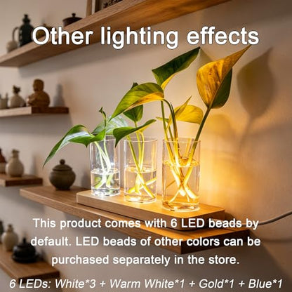 3 Pcs Plant Propagation Terrarium with Wooden Stand | 6 Pcs Wireless LED Light, Desktop Glass Planter Station, Water Planting Glass Vase, Hydroponic Plants, DIY Centerpiece Decor