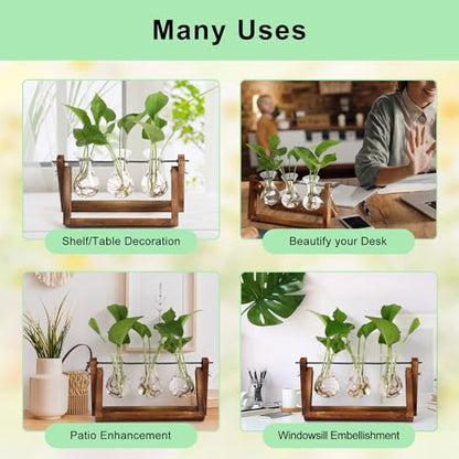YIBOT Propagation Stations,Plant Terrarium with Wooden Stand-3 Glass Vases | Unique Gardening Birthday Gifts for Women Mom Plant Lovers, Indoor Hydroponics Plants Home Office Garden Desk Decor - size: 3Vase-B