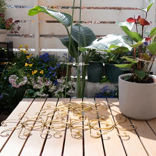 5PCS Monstera Plant Stem Support Stakes - 5.5 in Metal Supports | Monstera & Fishbone Cactus Stem Holder -Flexible Indoor Plant Support, Ideal Gardening Gifts & Accessories for Healthy Growth - size: 5.5 x 5.5 inches
