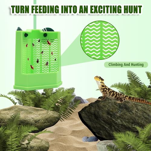 Chameleon Feeder with Suction Cups, Green Bearded Dragon Food Bowl | Wall Mount Insect Feeding Box for Reptile, Corner Hunting Bowl for Frogs Geckos, Tank Accessories
