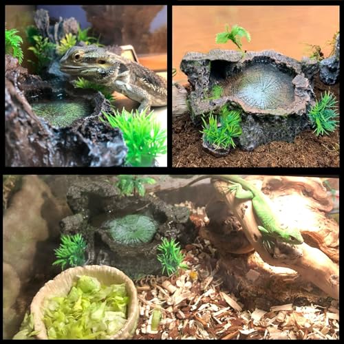 Tfwadmx Reptile Feeding Bowl,Resin Beared Dragon Food Water Dish Reptile Tank Decor for Lizard Gecko Chameleon Frog Turtle Spider