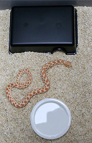 OMEM Reptile Hideout Box, Hideout Caves, Small Animal Hideaway (M) - color: M