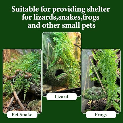 Green Reptile Cave Hide, Platform Shelter for Lizard Gecko Snake