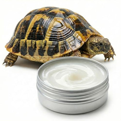 RONDURE Reptile Shell Balm for Tortoise Ointment Turtle Shell Care Conditioner Moisturizer Tortoise Shell Balm Turtle Shell Cleaner Wax Protect Accessories 2 Oz