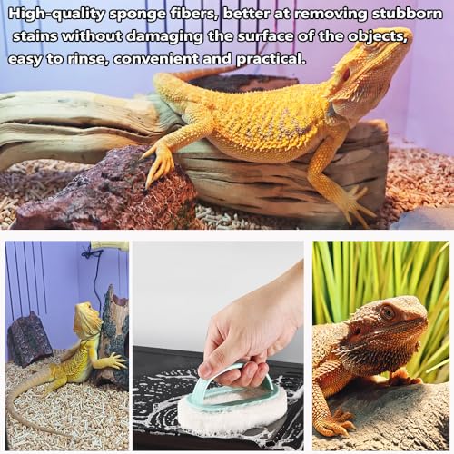 6-Piece Bearded Dragon Tank Cleaning Set, Reptile Enclosure Cleaning Tool Set with Bearded Dragon Nail Clippers&Cleaning Cloth, Brush, Scraper & Mini Dustpan for Lizard & Gecko Terrarium Maintenance