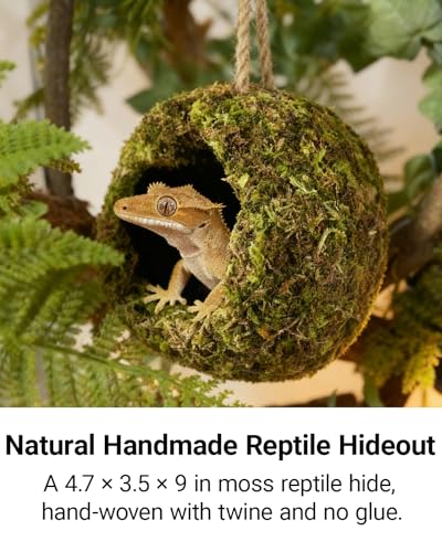 Handmade Crested Gecko Tank Accessories – Bearded Dragon Accessories, Reptile Hideout, Hermit Crab and Small Reptile Habitat 4.7×3.5×9in
