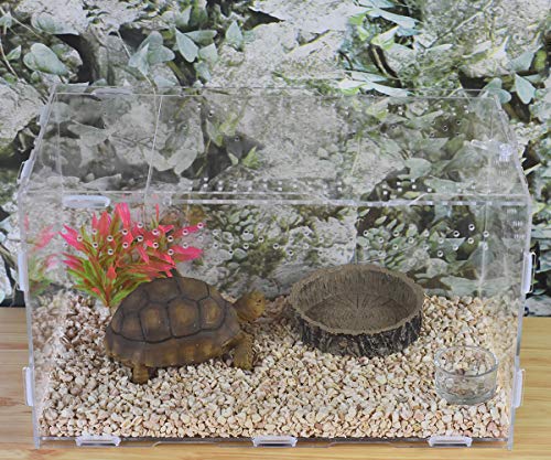 OMEM Reptile Natural Bowl Food and Water Dish Resin Made (Tree bark)