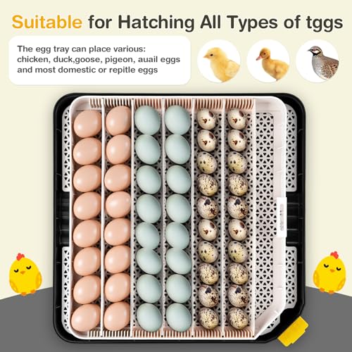 Sailnovo 48 Egg Incubator for Hatching Eggs with Auto Egg Turning, Precision Temp & Humidity Control, 360°Viewing, Egg Candler, Incubator for Chicken Eggs/Duck/Quail,Ideal for Farm/School/Lab,Gray | Precise Temp & Humidity Control，Auto Egg Turning, 360°Vi