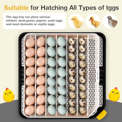 Sailnovo 48 Egg Incubator for Hatching Eggs with Auto Egg Turning, Precision Temp & Humidity Control, 360°Viewing, Egg Candler, Incubator for Chicken Eggs/Duck/Quail,Ideal for Farm/School/Lab,Gray | Precise Temp & Humidity Control，Auto Egg Turning, 360°Vi