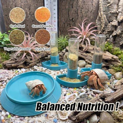 4-in-1 Hermit Crab Feeding Station - Integrated Nutrition and Hydration Center，3D-Printed Tank Accessories Made from Safe Materials, Suitable for Hermit Crabs and Small Reptiles. - color: Cyan