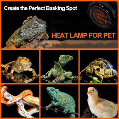 BNOSDM 75W Ceramic Heat Emitter,2 Pack Reptile Heat Lamp Bulbs,Ceramic Heat Lamp,Brooder Coop Heater for Amphibian Reptile Turtle Lizard Chicken - color: Pack of 2/Black, size: 75 Watts