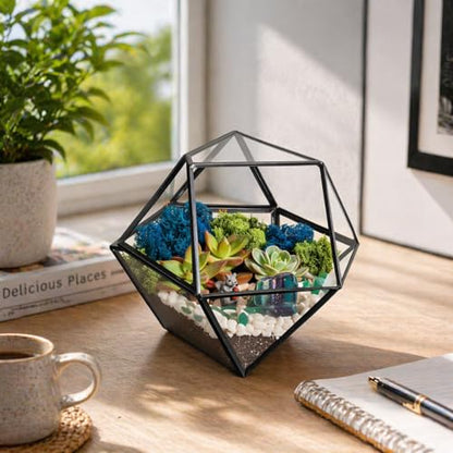 Creations by Nathalie DIY Geometric Glass Terrarium Kit with Live Plant | DIY geometric glass terrarium kit with live plant, moss, and tools for creating indoor terrarium displays with your plants. - color: Dodecahedron Black Frame