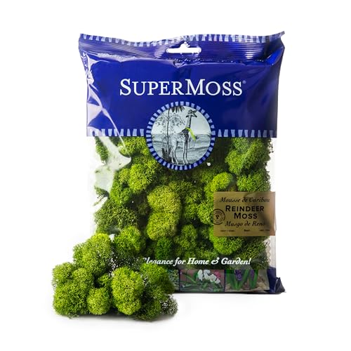 SuperMoss (23080) Reindeer Moss Preserved, Basil, 2 Ounces - size: 2 oz