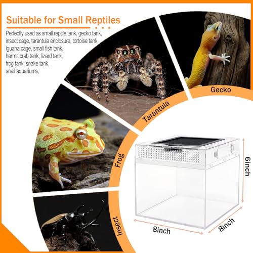 Reptile Terrarium, Jumping Spider Enclosure Starter Kit, Leopard Gecko Habitat Container, 8"x8"x7"Reptile Tank for Tarantula, Hermit Crab, Insect, Fish, Frog, Small Bearded Dragon, Lizard - size: 8"x8"x7"