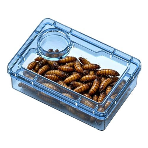 Reptile Bowl Clear Reptile Tank Accessories | Hermit Crab Food Bowl Lizard Feeder for Hermit Crab Frog Spider Chameleon Iguana Lizard Tarantula - color: Blue