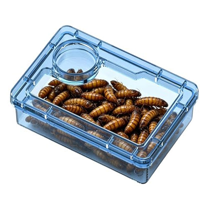 Reptile Bowl Clear Reptile Tank Accessories | Hermit Crab Food Bowl Lizard Feeder for Hermit Crab Frog Spider Chameleon Iguana Lizard Tarantula - color: Blue