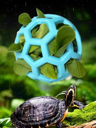 7 pcs Tortoise Treat Ball and Training Skateboard Toy Set Turtle Feeder Ball Funny Aquatic Turtle Enrichment Toys Aquarium Feed Toy Tortoise Feeding Balls Vegetable Grass for Small Animals