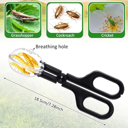 Jingmore 4 Pcs Bearded Dragon Food Bowl Set Reptile Snake Feeding Accessories Stainless Steel Reptile Feeding Tongs with Rubber Clamp for Bearded Dragon Lizard