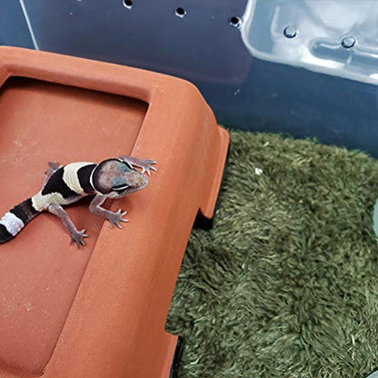 kathson 2pcs Reptile Carpet Terrarium Liner Tortoise Bedding Reptile Substrate Liner Mat Pet Cage Mats Supplies for Lizard Snake Bearded Dragon Gecko Chameleon Turtle Iguana (11.81 X 7.87 in) - color: 2PCS（M）：11.81 X 7.87 in