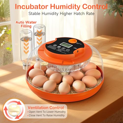 18 Egg Incubators for Hatching Eggs, Automatic Egg Turning and Humidity Control Incubator for Hatch Chicken Duck Quail Pigeon Pheasant Partridge Home Classroom Lab- - size: 18H