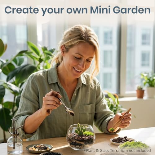 DIY Terrarium Kit for Succulents & Air Plants, Terrarium Starter Kit with Organic Soil, Orchid Bark, Horticultural Charcoal, River Rocks & Preserved Moss for Fairy Gardens & Mini Terrariums (Large)