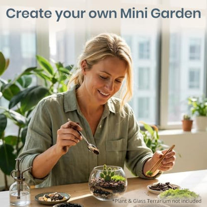 DIY Terrarium Kit for Succulents & Air Plants, Terrarium Starter Kit with Organic Soil, Orchid Bark, Horticultural Charcoal, River Rocks & Preserved Moss for Fairy Gardens & Mini Terrariums (Large)