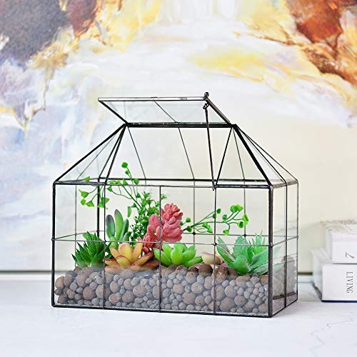 Large Glass Terrarium House Planter – Succulent Plant Glass Greenhouse with lid 9.8"X7.9"X5.9" NA