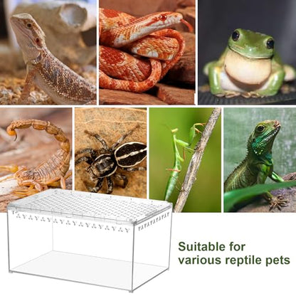 Tarantula Enclosure Spider Terrarium Hermit Crab Tank Starter Kit | Large Escape Proof PC Reptile Habitat 11.8" x 7.87" x 5.9" Full View for Isopods Bug Insect Frog Gecko Snails - size: L-Starter Kit
